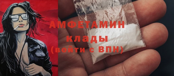 индика Касимов
