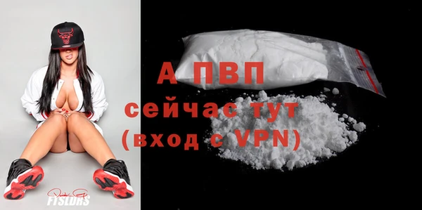СК Козловка