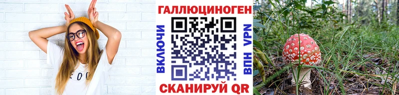 где можно купить Киселёвск Галлюциногенные грибы Magic Shrooms